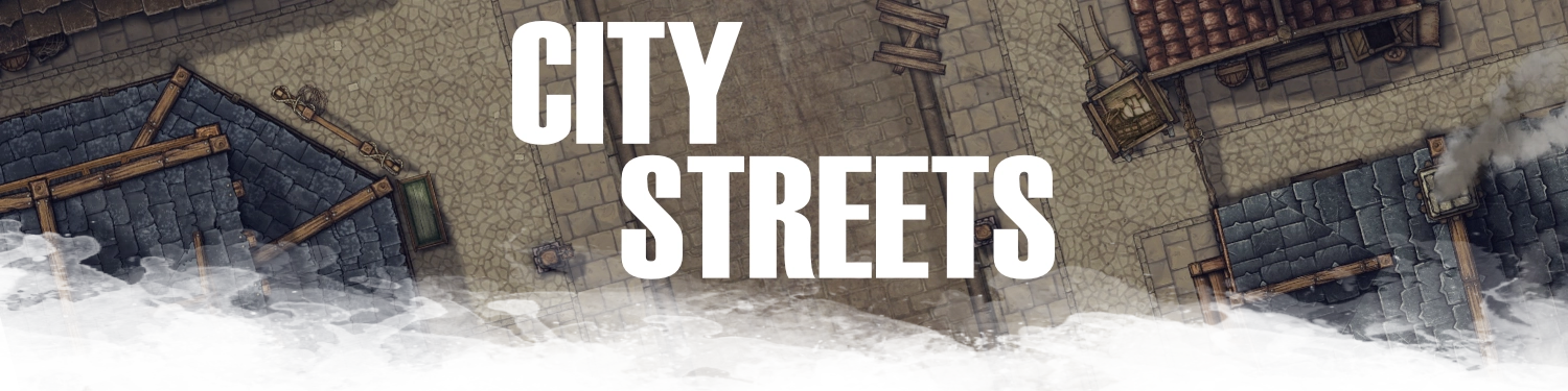 City streets map banner.